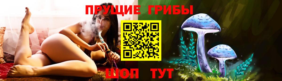 Псилоцибиновые грибы Cubensis  Вход с VPN  магазин продажи наркотиков  Гусь-Хрустальный 